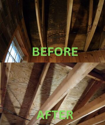 Attic Mold Remediation Spokane WA  BEFORE AND AFTER